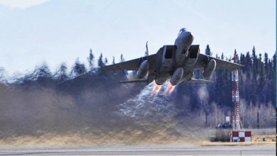 why in the world did the us air force fly some f 14s to the middle east